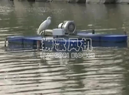 高壓風(fēng)機(jī)應(yīng)用之河道治理