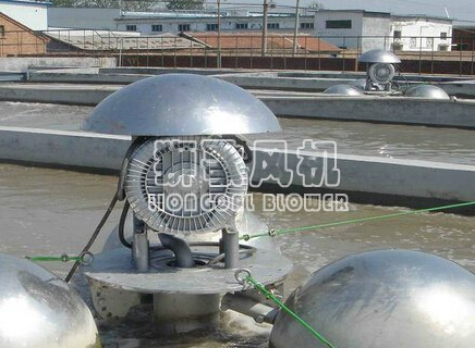 水產(chǎn)養(yǎng)殖用高壓風(fēng)機(jī)